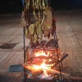 Productos: Picada llanera