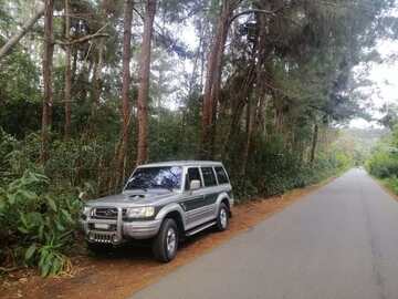 Private Transportation: 4x4 Car Rental with Driver