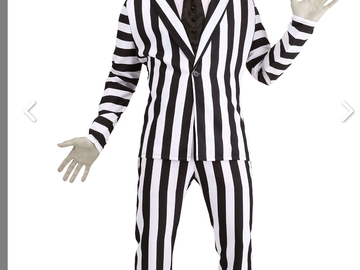 Selling with online payment: Beetlejuice Suit 