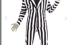 Selling with online payment: Beetlejuice Suit 
