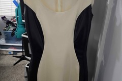 Selling with online payment: Black & White Latex Dress