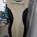 Selling with online payment: Black & White Latex Dress