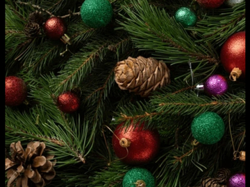 Selling: 12 Days of Christmas Special