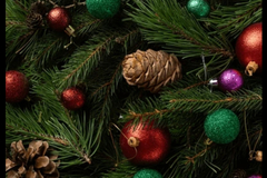 Selling: 12 Days of Christmas Special