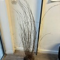 Vente: graminée