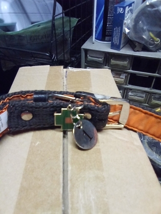 Life of Ryley brand collars, Leashes
