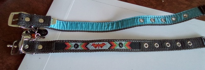 Life of Ryley brand collars, Leashes