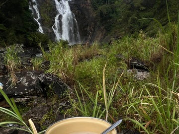 Hiking: Adventure Hike to Discover Secrets of the Malagasy Forest