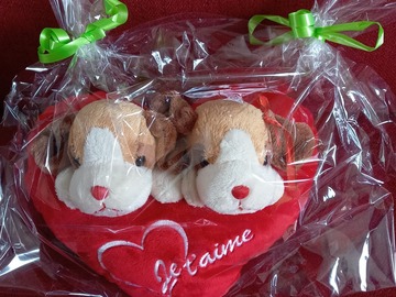 Vente: PELUCHE PETITS CHIOTS ET COEUR