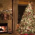 Selling: Christmas Special !
