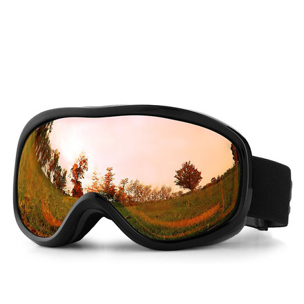Double Layer Anti-fog Ski Goggles Large Field of View Ski Glasses