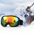 Bulk Lots: Double Layer Anti-fog Ski Goggles Large Field of View Ski Glasses