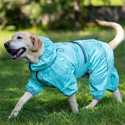 dog assault clothes cotton-padded warm autumn and winter