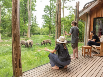 Vente: Coffret "Séjour Nature" au Parc de Sainte Croix (500€)