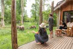 Vente: Coffret "Séjour Nature" au Parc de Sainte Croix (500€)