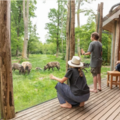 Vente: Coffret "Séjour Nature" au Parc de Sainte Croix (500€)