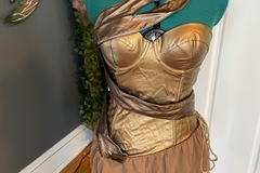 Selling with online payment: Wonder Woman Bronze Warrior 