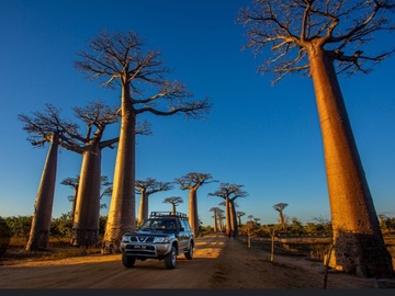 Multi-day Packages: 5-Day Discovery of the Western Wonders | Morondava