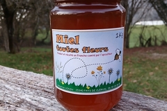 Les miels : Miel de toutes fleurs