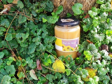 Les miels : miel de fleurs 1kg