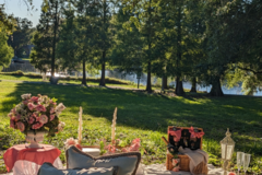Offering with deposit :  Picnic for two 2