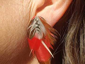 Vente au détail: Boucle d'oreille rouge