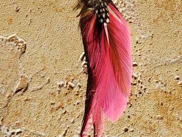 Vente au détail: Boucles d'oreilles plumes  rose