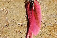 Vente au détail: Boucles d'oreilles plumes  rose