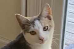   : Maisie, Betty, Snowman, and Petey