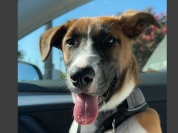   : Luna