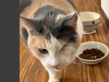   : Cookie