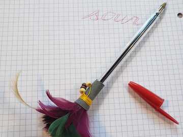 Vente au détail: Stylo et bouquet de plume