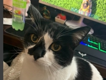   : Lucy