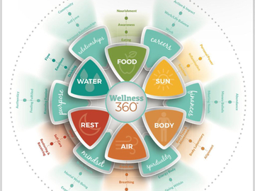 Wellness Session Single:   Meal Planning for Gut Health: Restore, Rebalance, Reenergize 