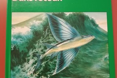 Selling: La vie secrète des bêtes - Dans l'océan - Hachette Jeunesse