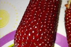 Sales: Maïs  fraise