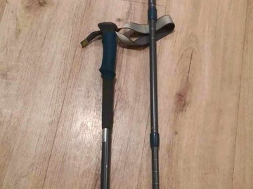 For Rent: Hiking poles to rent for a day