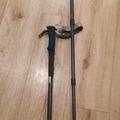 For Rent: Hiking poles to rent for a day