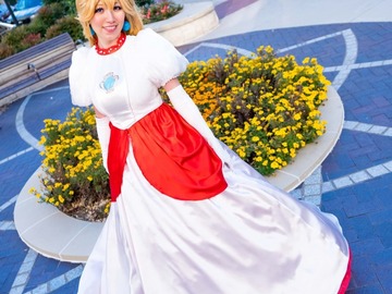 Selling with online payment: Fire Princess Peach