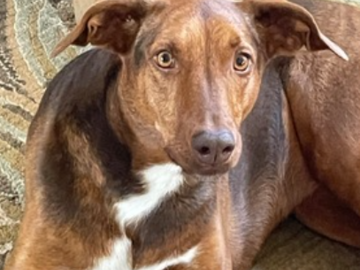   : Penny