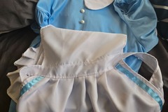Selling with online payment: Alice in wonderland costume 
