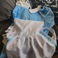 Selling with online payment: Alice in wonderland costume 