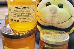 Les miels : Miel d'été- Quincy-Voisins - Metaczyk'Api 