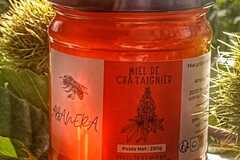Les miels : Miel de Châtaignier
