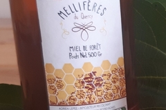 Les miels : Miel de forêt du Quercy (Bio)