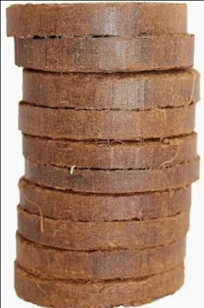 Coconut Fiber Bedding Pucks from Cranberries Hermit Crab