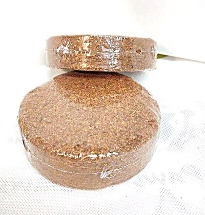 Coconut Fiber Bedding Pucks from Cranberries Hermit Crab