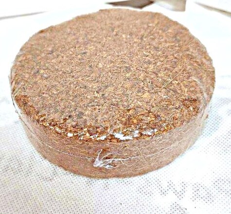 Coconut Fiber Bedding Pucks from Cranberries Hermit Crab