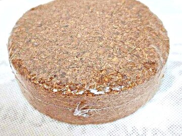 Bulk Lots: Coconut Fiber Bedding Pucks from Cranberries Hermit Crab