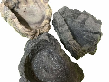 Bulk Lots: Reptile/Hermit Crab/Tarantula Stone Look Dishes Asst.Colors 48pc